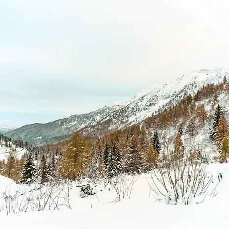 Diamante Ampio Monolocale Stile Alpino Passo del Tonale