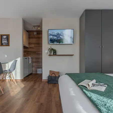 Apartment Diamante Ampio Monolocale Stile Alpino Passo del Tonale